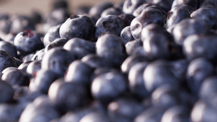 Extreme macro close-up of fresh blueberries with very shallow depth of field. Soft and smooth camera movement combined with slow motion and gentle focus pull from foreground to background reveals the texture and natural surface of the berries. Cinematic food footage, organic fruit concept. Full HD horizontal video.