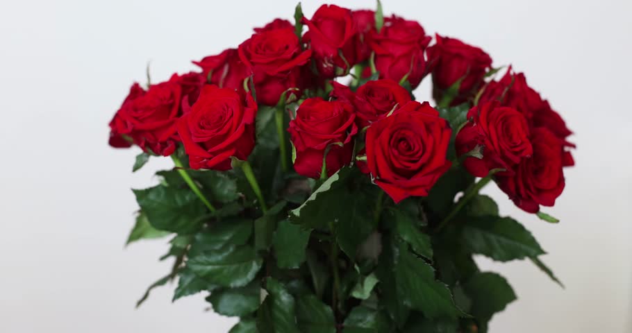 many beautiful red roses on a light background as a backing for the background
