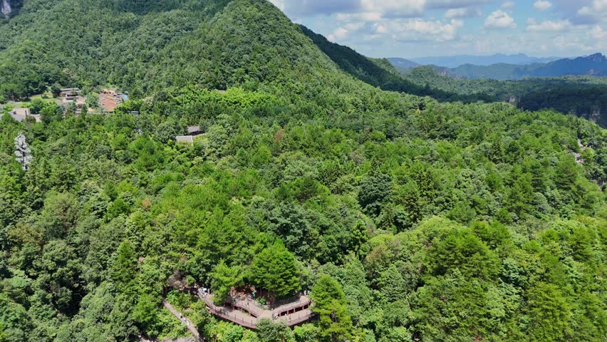 Lush forest mountainside with hiking trails, Zhangjiajie National Forest Park, aerial