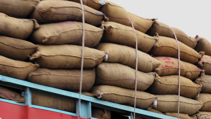 Side view of a freight truck stacked high with tightly packed burlap sacks secured by ropes, forming layered rows of cargo beneath overhead utility lines against an overcast sky.