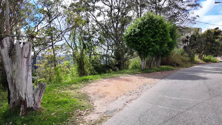 Wide shot of a peaceful winding road in San Antonio, Caracas suburb, showing a mix of traditional houses with red roofs and modern brick buildings surrounded by greenery.