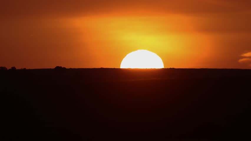 The sun rising as a bird flies by 