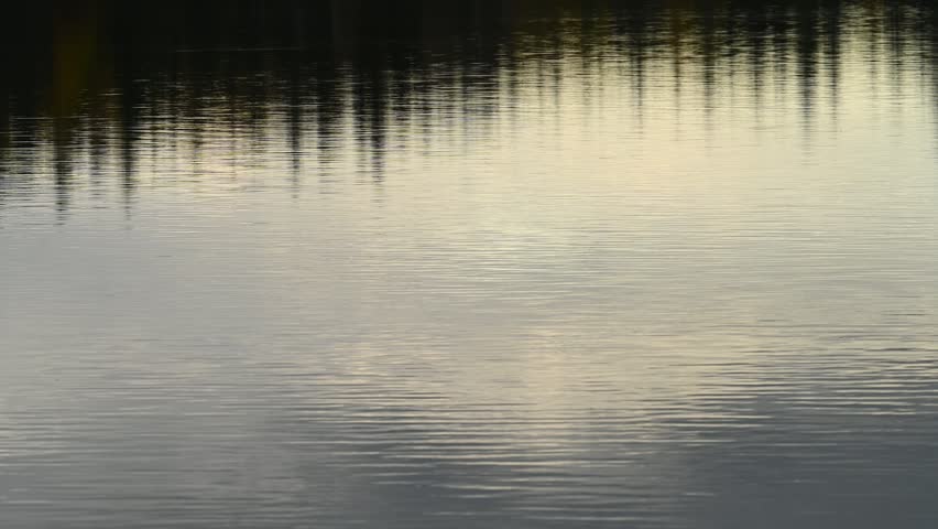 View of a lake reflecting late day clouds and distant narrow evergreen trees with small ripples on the water