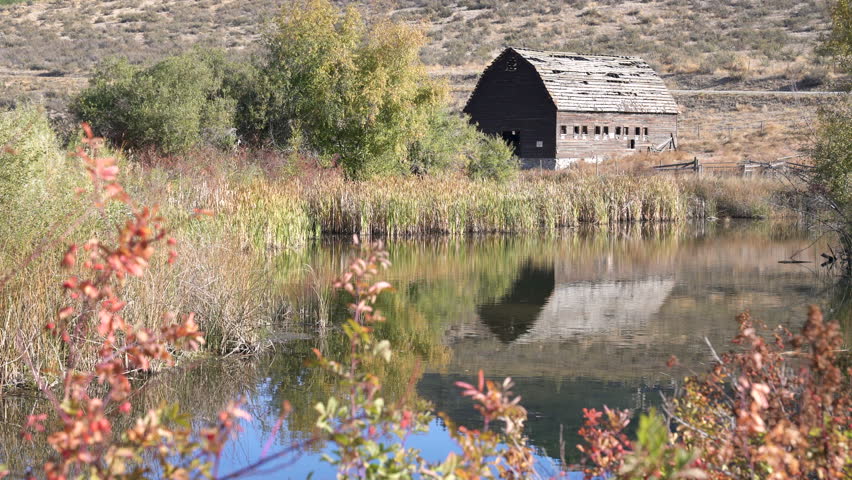 Rustic Haynes Ranch Barn Osoyoos Canada 4K UHD.The Haynes Ranch barn in the Okanagan. This historic site was home to one of the early settlers in the area. British Columbia, Canada. 4K, UHD.
