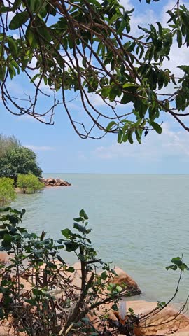Coastal view framed by trees, rocks, and shrubs overlooking calm water under partly cloudy sky.