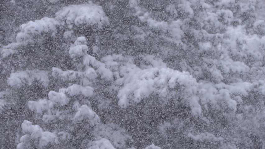 Falling heavy snow at dawn in February in Tokyo, Japan 