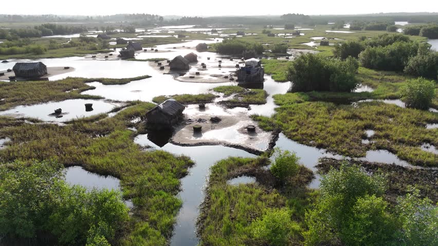 A cinematic aerial shot capturing the unique stilt house architecture nestled within the lush, flooded wetlands of the Ouidah lagoon in Benin