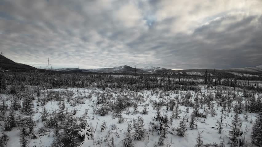 Aerial view of a snow-covered tundra landscape with scattered trees and distant mountains under a cloudy sky.