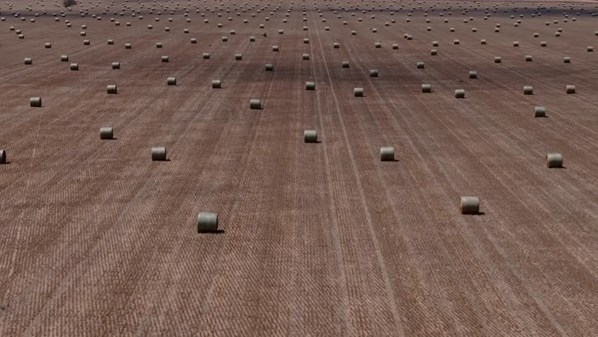 High drone descend tilt up revealing vast flat field and isolated hay bales across agriculture farmland, nobody