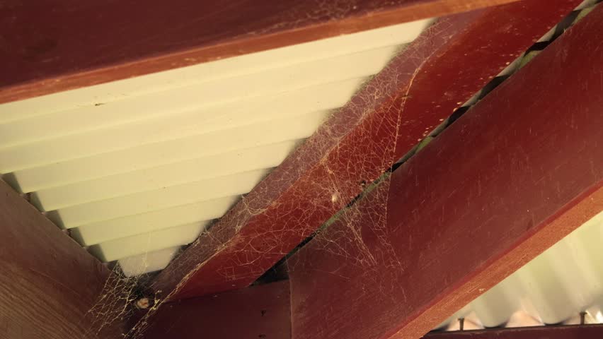 Lots of Spider Cobwebs On Metal Corrugated Roof and Wood Beams Moving In The Wind, Daytime Australia, East Gippsland, Victoria, Maffra