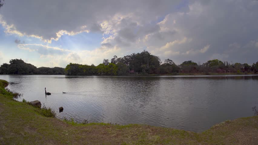 Serene Park Lake under a Dramatic Sky.