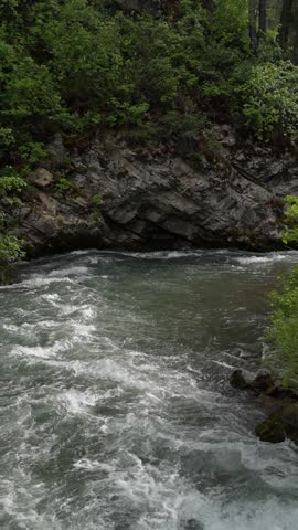 Rushing River through Rocky Forest Canyon.