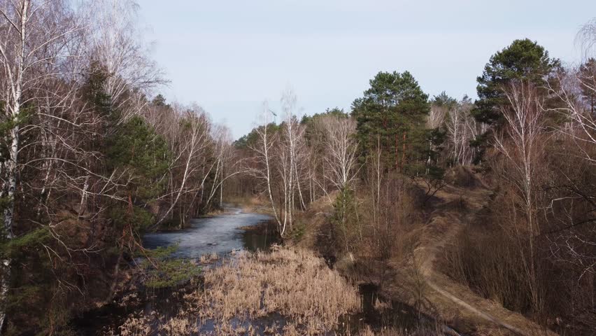 Small narrow lake partly covered with ice and overgrown with withered reeds among the forest of pines and birches on hilly steep shores in springtime, aerial view when moving forward
