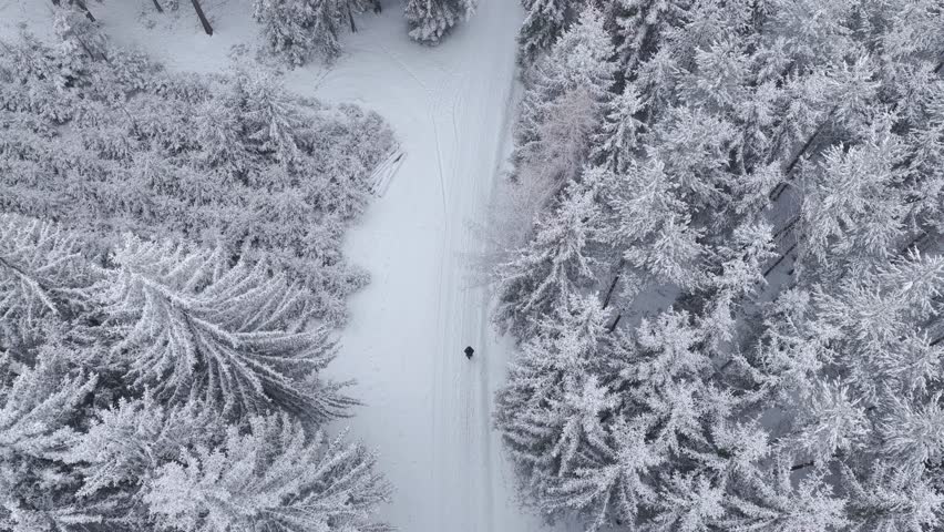 Person in black walking along snowy forest path, top-down drone view.
Winter conifer forest scene with solitude and strong visual contrast.