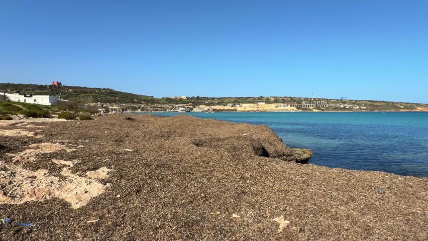 Scenic view of a beach covered with a thick layer of dry seaweed, against the backdrop of a coastal town and the calm Mediterranean Sea under a blue sky.