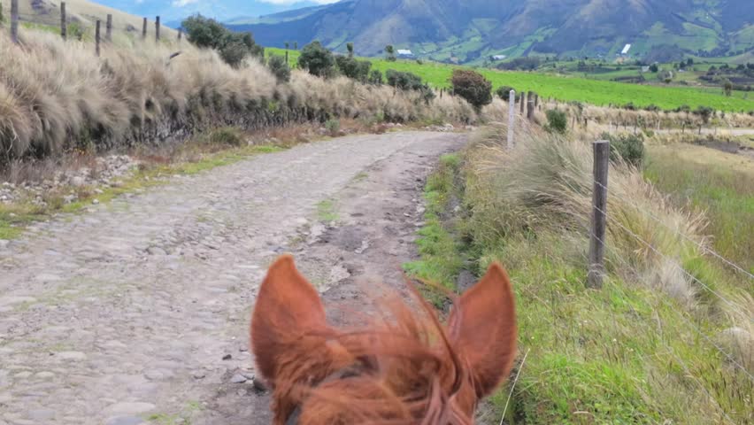 Horse riding on a trail in the mountains of Ecuador
