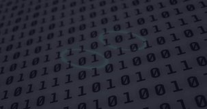 Animation of financial data processing over binary coding. Global finance, business, connections, computing and data processing concept digitally generated video. - Powered by Shutterstock - Get 15% off with code: PIKWIZARD15