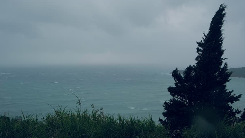 Stormy sea under overcast sky, seen from coastal hillside. Tall grass and cypress tree bend under the gusts of squally wind. Whitecaps and rough water emphasize stormy and unsettled weather