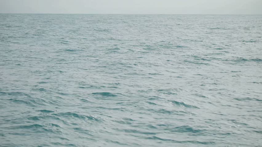 A single dolphin is jumping of the water, as seen through a telephoto lens from a boat, at mid ocean. a 4K clip. Kaikoura, New Zealand.