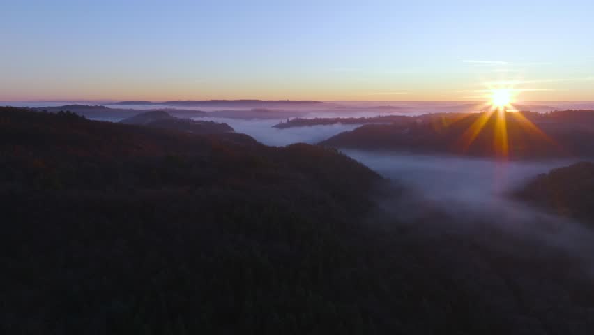 Close up of a venomous Scolopendra centipede sheltering inside a dark hole. The predatory arthropod is visible deep within the earthy tunnel structure in its natural habitat.