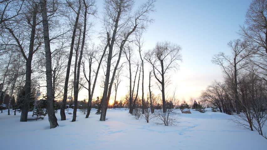 A serene winter landscape is blanketed in deep, untouched snow under a clear blue sky. The scene captures a quiet, rural setting, possibly in the early morning or late afternoon. In the midground, a small, white Orthodox church with a dome is partially visible through the silhouettes of bare, leafless trees. 
