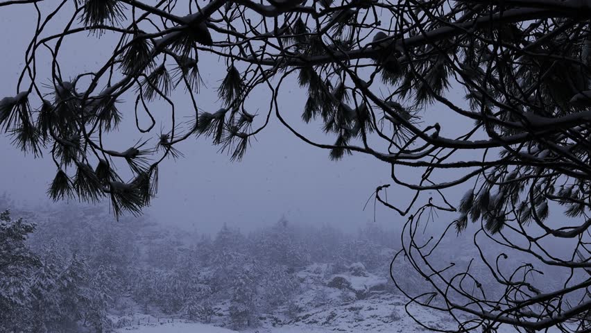 Heavy snowfalling in slow motion in the mountains