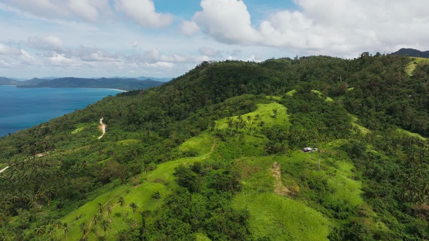 Wide aerial reveals untouched hill forest paths, San Vicente Palawan Philippines
