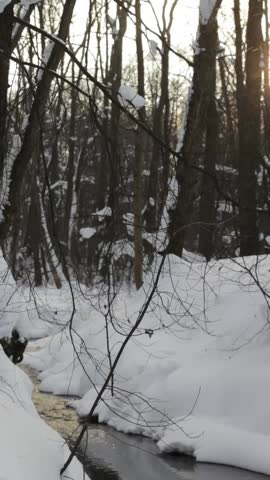 Static shot of a small stream flowing through deep snow in a winter forest during a light snowfall. Peaceful natural scene with bare trees and soft snowflakes.