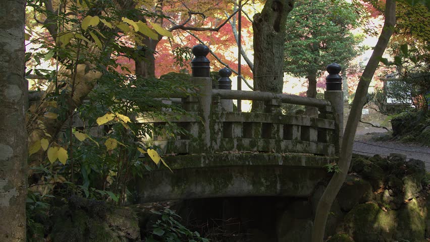 Ponytail woman crosses old mossy bridge in Naritasan Park in autumn