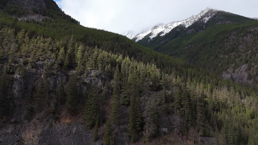 Majestic Evergreen Forests And Snow-Capped Mountains In British Columbia, Canada
