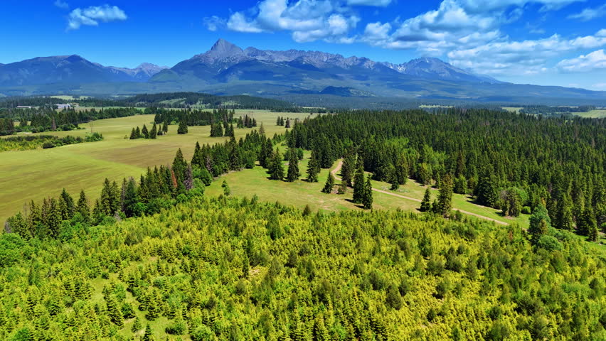 Evergreen woods and meadows in the valley surrounded by the Tatras. Flight over the wilderness in Slovakia on summer day.