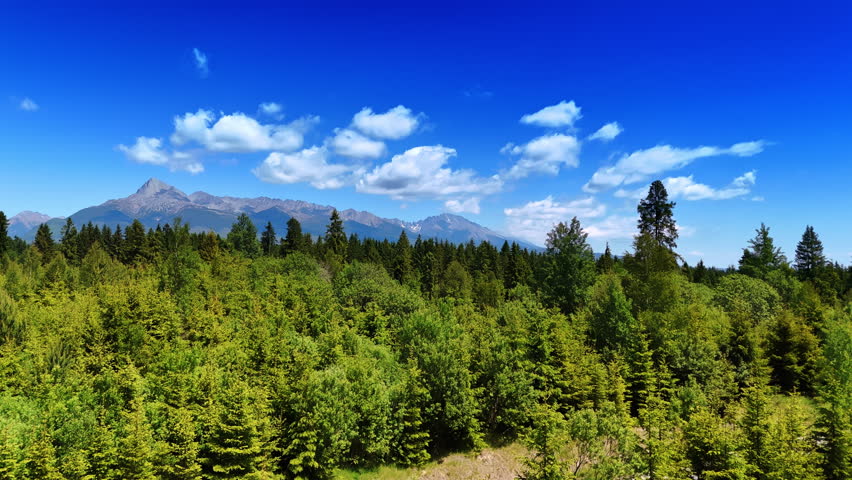 Rising over the vast pine tree forests covering the valley in Slovakia wilderness. Stunning Tatra mountains at backdrop.