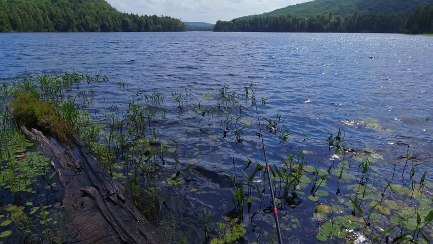 Fishing POV at lake uncharted territory, spinning rod, camera on the head. Angler fishing lake in the crown land. Real untouched crown land woods of Ontario, Canada. Northern America.
