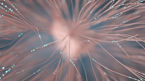 Dense brain neuron network with neural signal pulses along interconnected pathways, seamless loop. - Powered by Shutterstock - Get 15% off with code: PIKWIZARD15