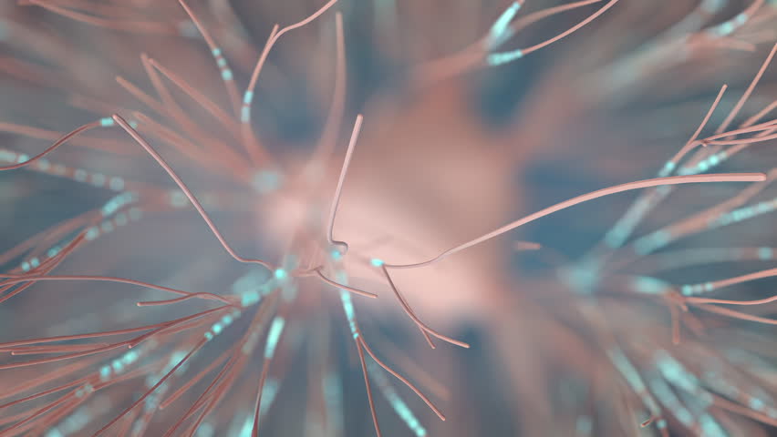Dense brain neuron network with neural signal pulses along interconnected pathways, seamless loop.