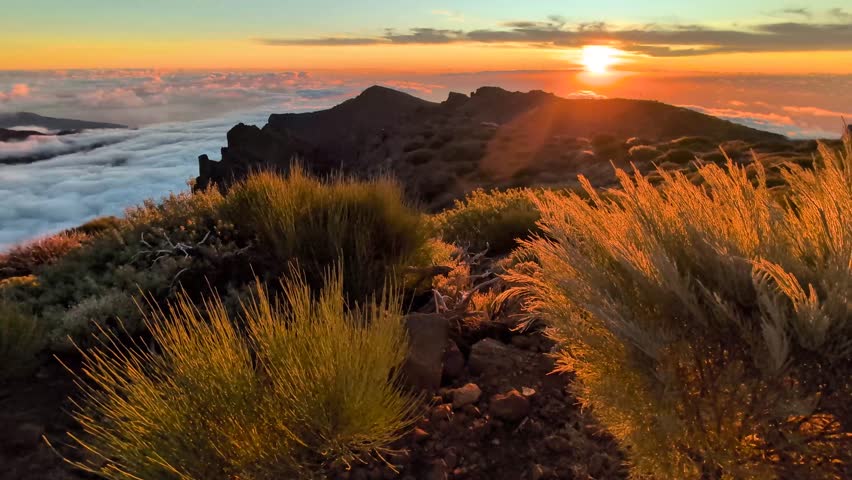 Caldera de Taburiente National Park, Island La Palma, Canary Islands, Spain, Europe. Caldera de Taburiente at sunset. 