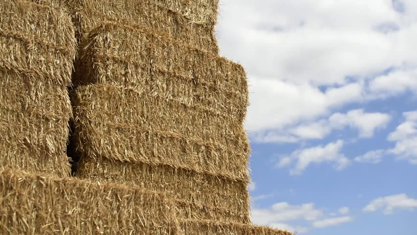 High stack of rectangular straw bales under a blue sky with white clouds. Agricultural hay storage after harvest in a rural farm field.