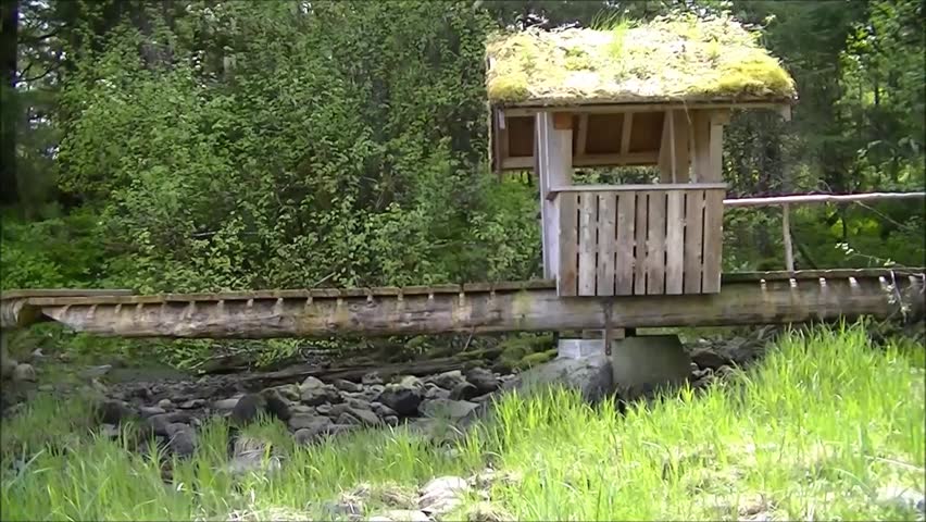 A Troll house sits on top of a foot bridge that crosses a small creek at Sandy Beach park in Petersburg, AK.