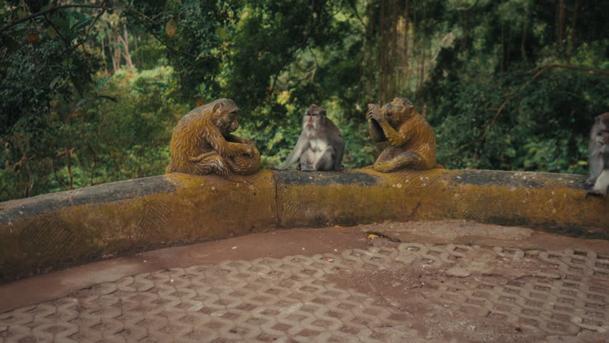 A cinematic wide shot capturing a real long-tailed macaque sitting between two weathered stone monkey statues on a ledge in the Sacred Monkey Forest Sanctuary, Ubud
