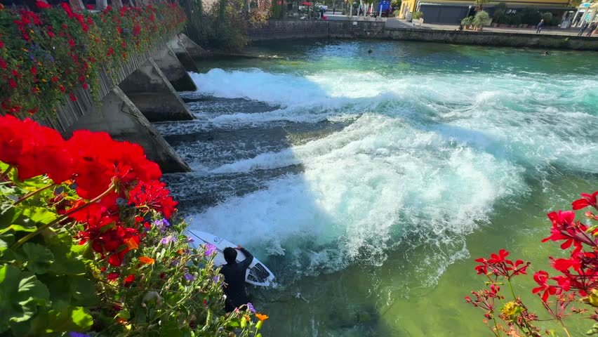 River surfer surfing paddle in Flusswelle Aare River sunny blue sky morning Thun Thunersee Switzerland Schweiz Europe Autumn Fall geranium red flower wooden bridge fast moving high flow water sports