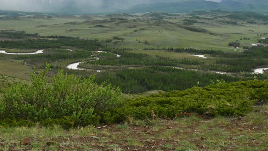 View from hill over mountain valley with winding river, green trees, and meadows. Lush alpine landscape, scenic panorama.