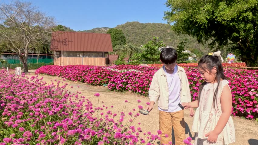 Two children walk through a blooming pink flower garden under a clear blue sky