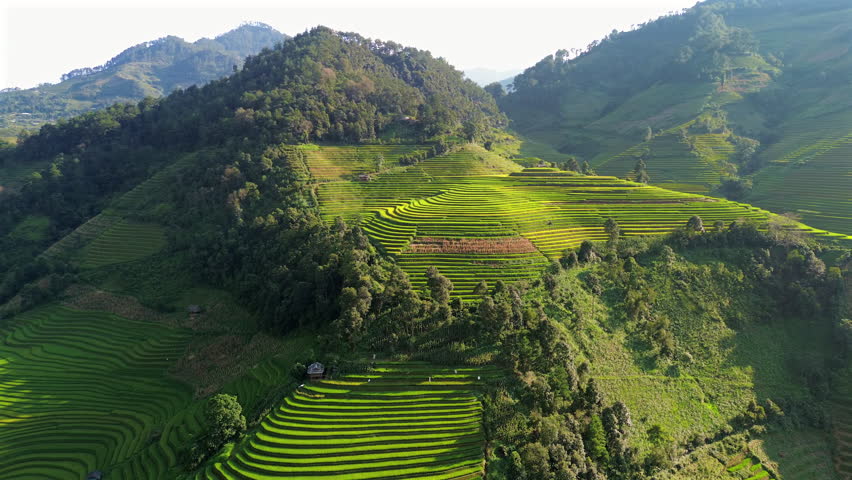 Smooth aerial drone footage of vibrant green rice terraces in Mu Cang Chai, northern Vietnam. Mountain agriculture landscape showing traditional farming and rural Asian scenery