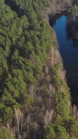 Aerial drone flight over a dark winding river surrounded by a dense green pine and birch forest.