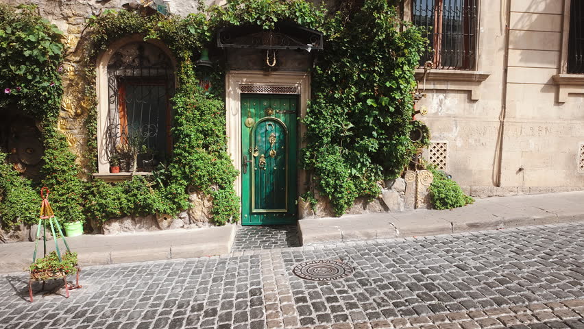 old vintage green door on street with plants around on wall.