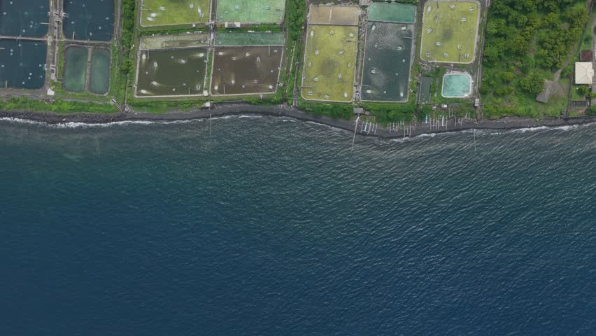 Aerial top down view of coastal aquaculture ponds for fish and shrimp farming showing the industrial water treatment systems and the nearby ocean on the island of bali, indonesia