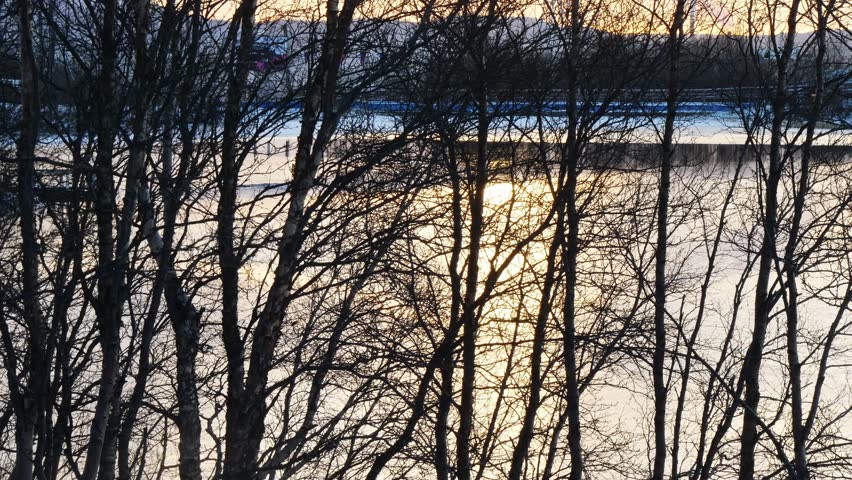 Dark silhouettes of trees against the background of a lake, the water of which reflects the bright orange sunset sky. Autumn, the first snow.
