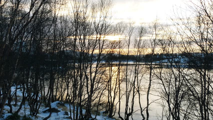 Dark silhouettes of trees against the background of a lake, the water of which reflects the bright orange sunset sky. Autumn, the first snow.