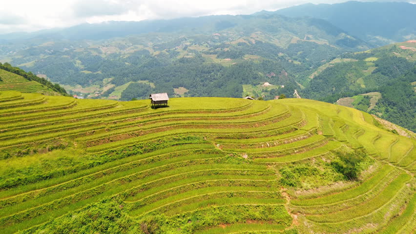 Breathtaking drone shot flying over lush green and golden rice terraces with traditional wooden huts in the mountainous landscape of Mu Cang Chai, Vietnam