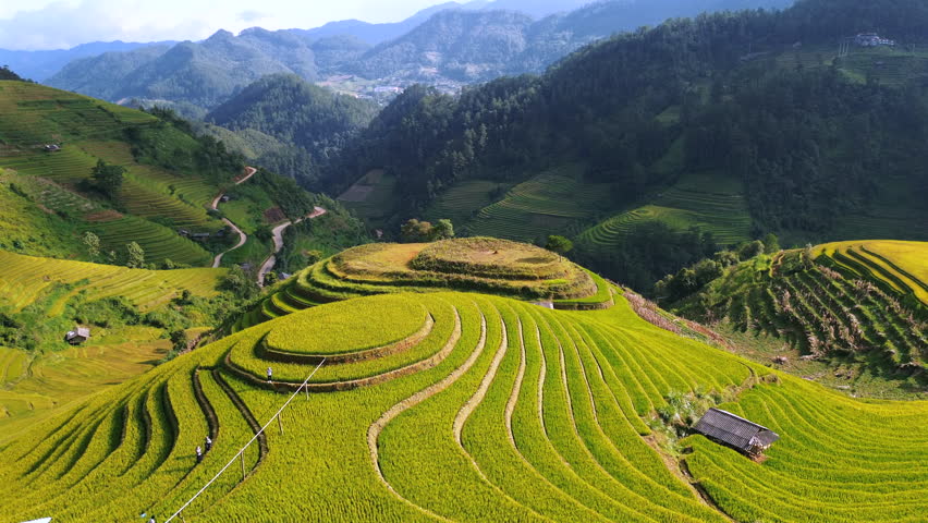 Detailed aerial perspective of unique circular rice terrace formations on a mountain top, featuring small farm huts and surrounding lush green peaks in Mu Cang Chai